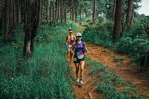 BIB: 
                            <button type="button" onclick="openModal(25659442)" class="btn btn-primary btn-sm float-right btn-popup" data-toggle="modal" data-target=".modal-high-quality">
                        <i class="fas fa-shopping-cart"></i> Add to Cart
                    </button>
                                            <button type="button" onclick="isThisMe(25659442, true)" class="btn btn-success btn-sm float-right btn-popup btn-isme hidden" data-toggle="tooltip" data-placement="bottom" title="นี่คือรูปของคุณใช่ไหม คลิกที่นี่เพื่อเอาเข้าอัลบั้ม">
                        <i class="fas fa-plus"></i> Add to album
                    </button>
                    <button type="button" onclick="isThisMe(25659442, false)" class="btn btn-warning btn-sm float-right btn-popup btn-isnotme hidden">
                        <i class="fas fa-ban"></i> Remove from album
                    </button>